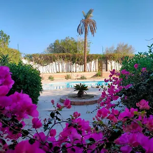 Apartment Luxury Gardenhouse Pool Wifi *