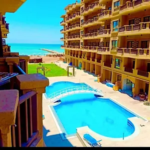 Turtles C21 Hurghada