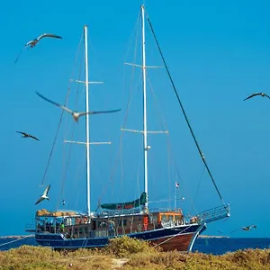 La Vela